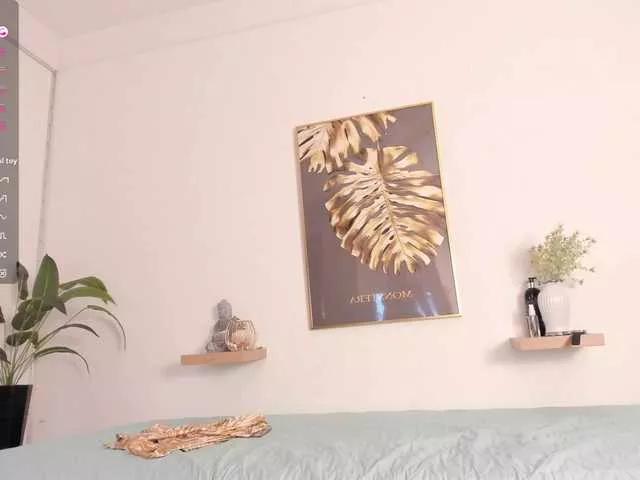 BongaCams Amina-hafssa amina-hafssa from BongaCams