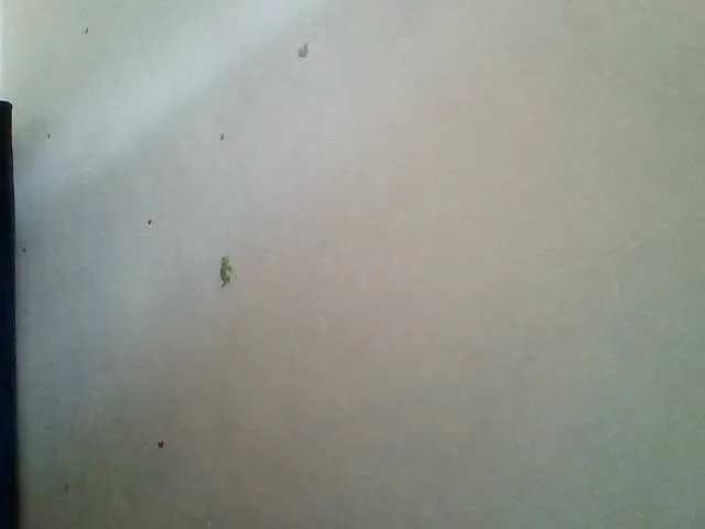 Lolah3 from BongaCams