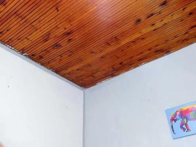 BongaCams Naughtylovers naughtylovers from BongaCams