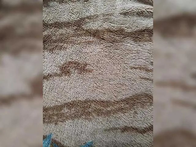 SexWifeLina from BongaCams