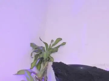 lucyshen_ from Chaturbate